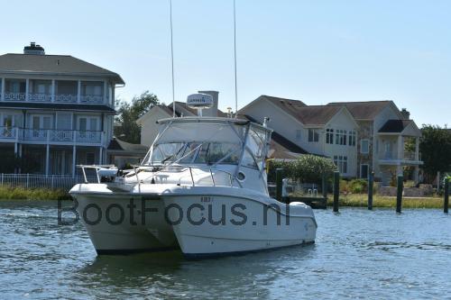 World Cat 270EC specificaties